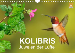 Kolibris – Juwelen der Lüfte (Wandkalender 2023 DIN A4 quer) von birdimagency,  BIA