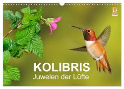 Kolibris – Juwelen der Lüfte (Wandkalender 2024 DIN A3 quer), CALVENDO Monatskalender von birdimagency,  BIA