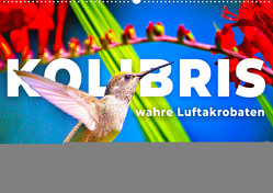 Kolibris – wahre Luftakrobaten (Wandkalender 2024 DIN A2 quer) von Monkey,  Happy