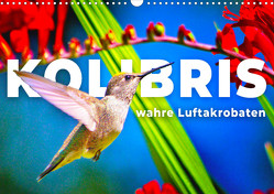 Kolibris – wahre Luftakrobaten (Wandkalender 2024 DIN A3 quer) von Monkey,  Happy
