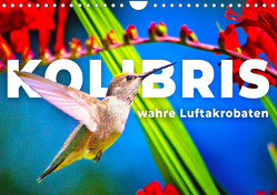 Kolibris – wahre Luftakrobaten (Wandkalender 2024 DIN A4 quer) von Monkey,  Happy