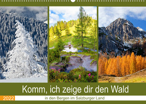 Komm, ich zeige dir den Wald (Wandkalender 2022 DIN A2 quer) von Kramer,  Christa