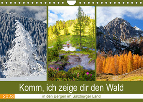 Komm, ich zeige dir den Wald (Wandkalender 2023 DIN A4 quer) von Kramer,  Christa