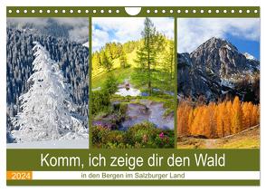 Komm, ich zeige dir den Wald (Wandkalender 2024 DIN A4 quer), CALVENDO Monatskalender von Kramer,  Christa