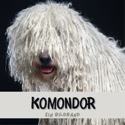 Komondor von Gruber,  Stefan