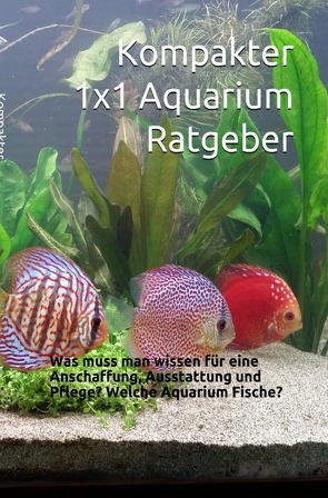 Kompakter 1×1 Aquarium Ratgeber von check,  Powerlifting