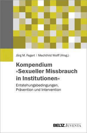 Kompendium »Sexueller Missbrauch in Institutionen« von Fegert,  Jörg M, Wolff,  Mechthild