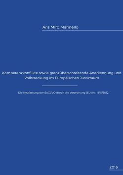 Kompetenzkonflikte sowie grenzüberschreitende Anerkennung und Vollstreckung im Europäischen Justizraum von Marinello,  Aris Miro