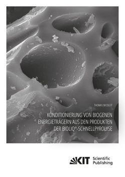 Konditionierung von biogenen Energieträgern aus den Produkten der bioliq®-Schnellpyrolyse von Nicoleit,  Thomas