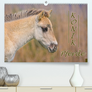 Konik-Pferde (Premium, hochwertiger DIN A2 Wandkalender 2021, Kunstdruck in Hochglanz) von Kulartz,  Rainer, Plett,  Lisa
