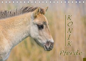Konik-Pferde (Tischkalender 2020 DIN A5 quer) von Kulartz,  Rainer, Plett,  Lisa