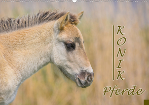 Konik-Pferde (Wandkalender 2020 DIN A2 quer) von Kulartz,  Rainer, Plett,  Lisa
