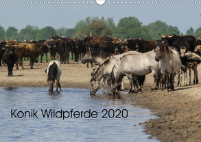 Konik Wildpferde 2020 (Wandkalender 2020 DIN A3 quer) von Gauger,  Jenny