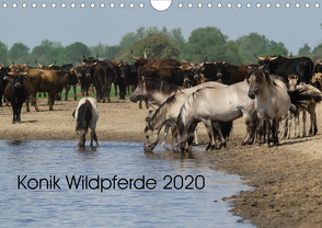Konik Wildpferde 2020 (Wandkalender 2020 DIN A4 quer) von Gauger,  Jenny