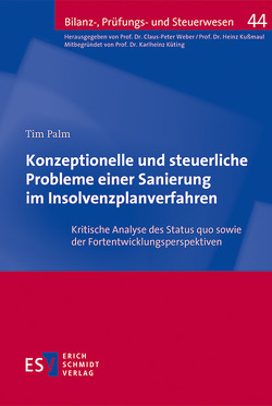 Konzeptionelle und steuerliche Probleme einer Sanierung im Insolvenzplanverfahren von Palm,  Tim