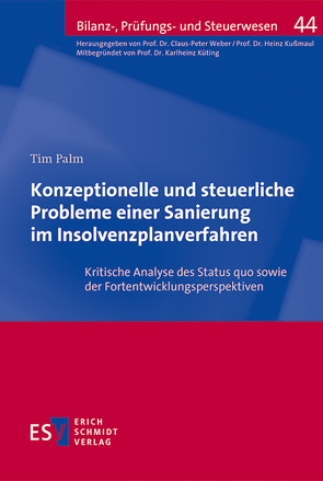 Konzeptionelle und steuerliche Probleme einer Sanierung im Insolvenzplanverfahren von Palm,  Tim