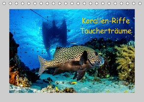 Korallen-Riffe Taucherträume (Tischkalender 2020 DIN A5 quer) von Caballero,  Sascha