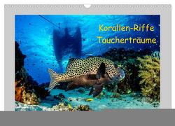 Korallen-Riffe Taucherträume (Wandkalender 2024 DIN A3 quer), CALVENDO Monatskalender von Caballero,  Sascha