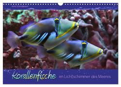Korallenfische im Lichtschimmer des Meeres (Wandkalender 2024 DIN A3 quer), CALVENDO Monatskalender von Schmidbauer,  Heinz