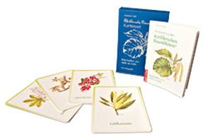 Körblersche Baumblüten® Kartenset von Maiss,  Christiane