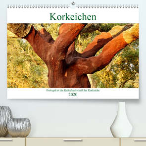 Korkeichen (Premium, hochwertiger DIN A2 Wandkalender 2020, Kunstdruck in Hochglanz) von Riedmiller,  Andreas