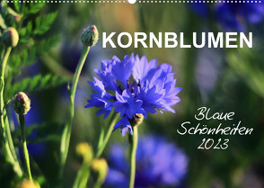 Kornblumen – Blaue Schönheiten (Wandkalender 2023 DIN A2 quer) von Löwer,  Sabine