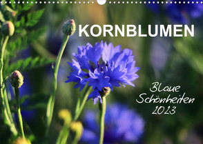 Kornblumen – Blaue Schönheiten (Wandkalender 2023 DIN A3 quer) von Löwer,  Sabine