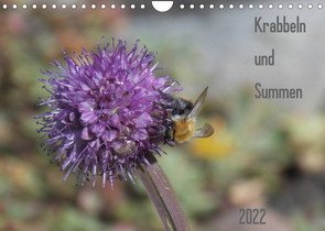 Krabbeln und Summen (Wandkalender 2022 DIN A4 quer) von Mahrhofer,  Verena