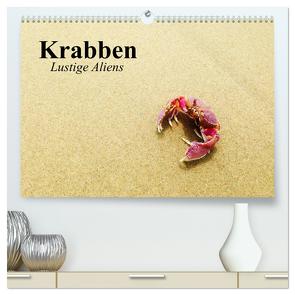 Krabben. Lustige Aliens (hochwertiger Premium Wandkalender 2024 DIN A2 quer), Kunstdruck in Hochglanz von Stanzer,  Elisabeth