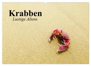 Krabben. Lustige Aliens (Wandkalender 2024 DIN A2 quer), CALVENDO Monatskalender von Stanzer,  Elisabeth