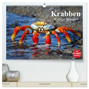 Krabben. Witzige Monster (hochwertiger Premium Wandkalender 2024 DIN A2 quer), Kunstdruck in Hochglanz von Stanzer,  Elisabeth