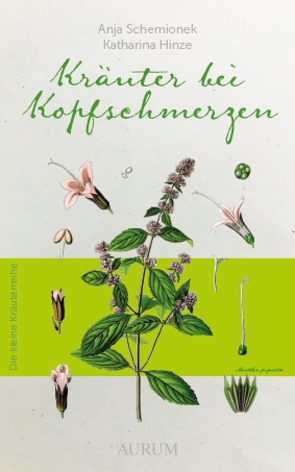 Kräuter bei Kofpschmerzen von Hinze,  Katharina, Schemionek,  Dr. Anja