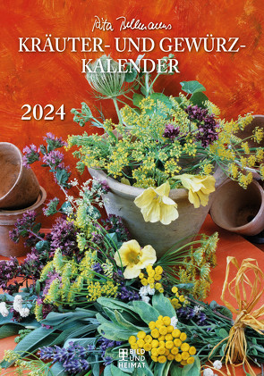 Kräuter- und Gewürzkalender 2024 von Bellmann,  Rita