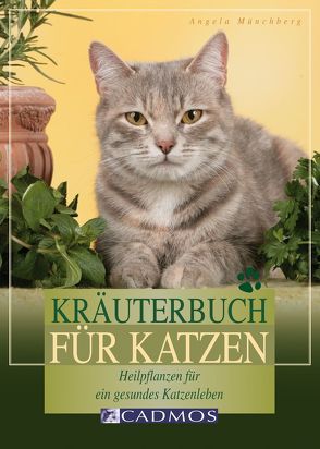 Kräuterbuch für Katzen von Münchberg,  Angelika