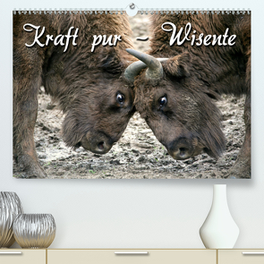 Kraft pur – Wisente (Premium, hochwertiger DIN A2 Wandkalender 2020, Kunstdruck in Hochglanz) von Berg,  Martina