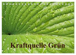 Kraftquelle Grün (Tischkalender 2024 DIN A5 quer), CALVENDO Monatskalender von Andersen,  Ilona