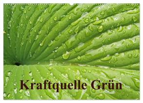 Kraftquelle Grün (Wandkalender 2024 DIN A2 quer), CALVENDO Monatskalender von Andersen,  Ilona