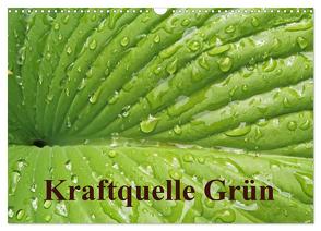 Kraftquelle Grün (Wandkalender 2024 DIN A3 quer), CALVENDO Monatskalender von Andersen,  Ilona