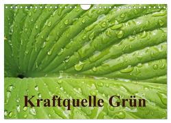 Kraftquelle Grün (Wandkalender 2024 DIN A4 quer), CALVENDO Monatskalender von Andersen,  Ilona