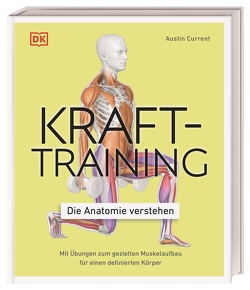 Krafttraining – Die Anatomie verstehen von Achter,  Carmen, Current,  Austin
