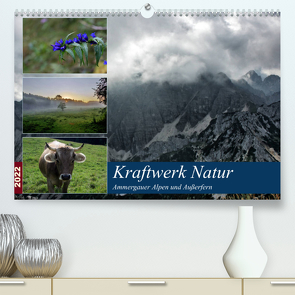 Kraftwerk Natur (Premium, hochwertiger DIN A2 Wandkalender 2022, Kunstdruck in Hochglanz) von Wittmann,  Steffen