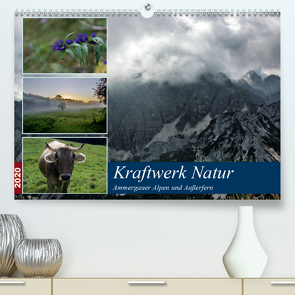 Kraftwerk Natur (Premium, hochwertiger DIN A2 Wandkalender 2020, Kunstdruck in Hochglanz) von Wittmann,  Steffen