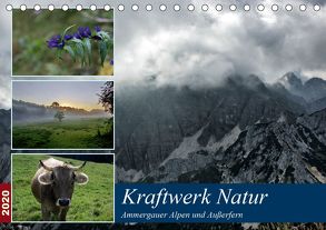 Kraftwerk Natur (Tischkalender 2020 DIN A5 quer) von Wittmann,  Steffen