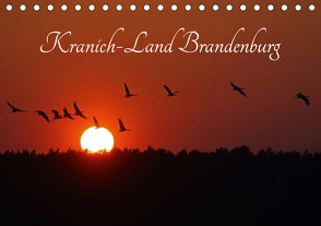Kranich-Land Brandenburg (Tischkalender 2021 DIN A5 quer) von Konieczka,  Klaus