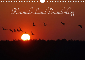 Kranich-Land Brandenburg (Wandkalender 2021 DIN A4 quer) von Konieczka,  Klaus