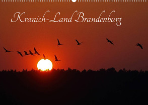 Kranich-Land Brandenburg (Wandkalender 2023 DIN A2 quer) von Konieczka,  Klaus