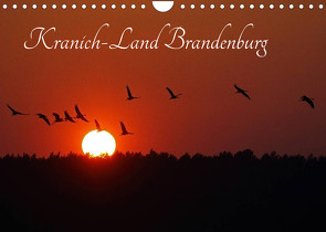 Kranich-Land Brandenburg (Wandkalender 2023 DIN A4 quer) von Konieczka,  Klaus