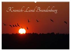 Kranich-Land Brandenburg (Wandkalender 2024 DIN A2 quer), CALVENDO Monatskalender von Konieczka,  Klaus