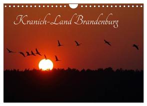 Kranich-Land Brandenburg (Wandkalender 2024 DIN A4 quer), CALVENDO Monatskalender von Konieczka,  Klaus