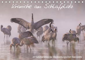 Kraniche am Schlafplatz – im Naturparadies der Mecklenburgischen Seenplatte (Tischkalender 2019 DIN A5 quer) von Pretzel - FotoPretzel,  André